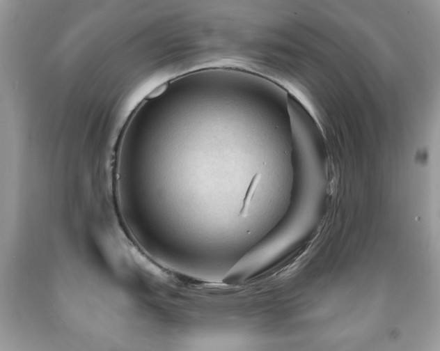 X0000091971151200709061326