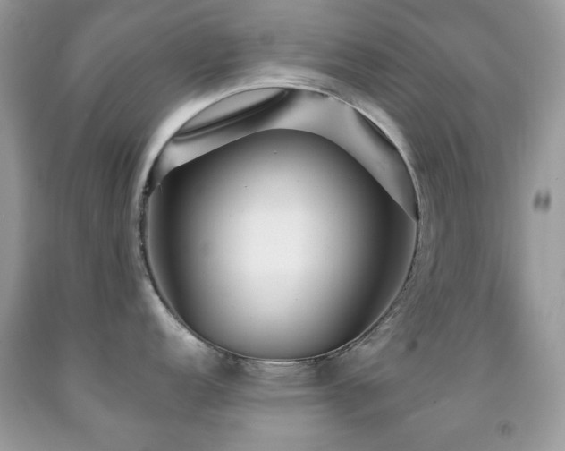 X0000091971152200709061326