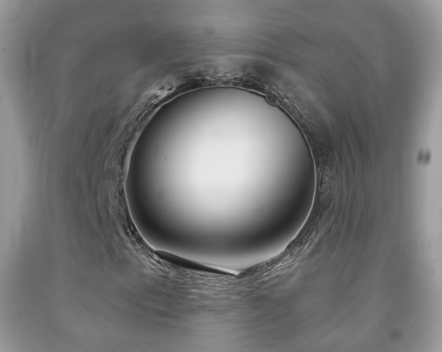 X0000091971153200709061325
