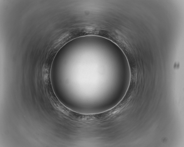 X0000091971154200709061325