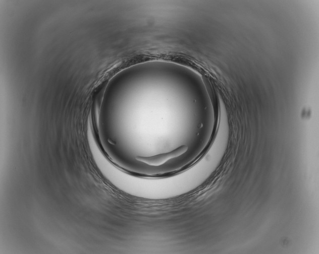 X0000091971156200709061325