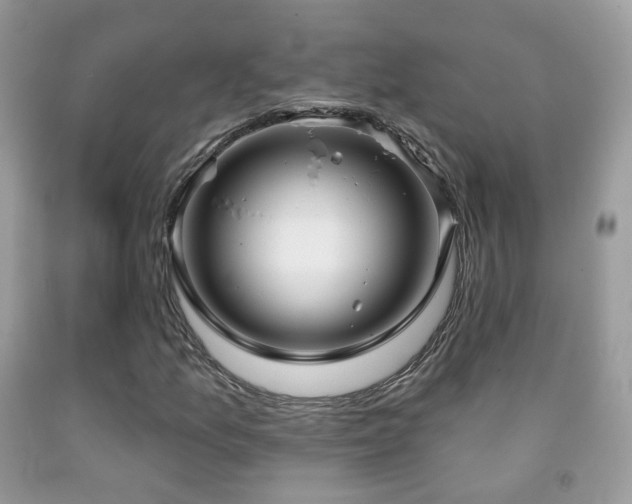 X0000091971157200709061325