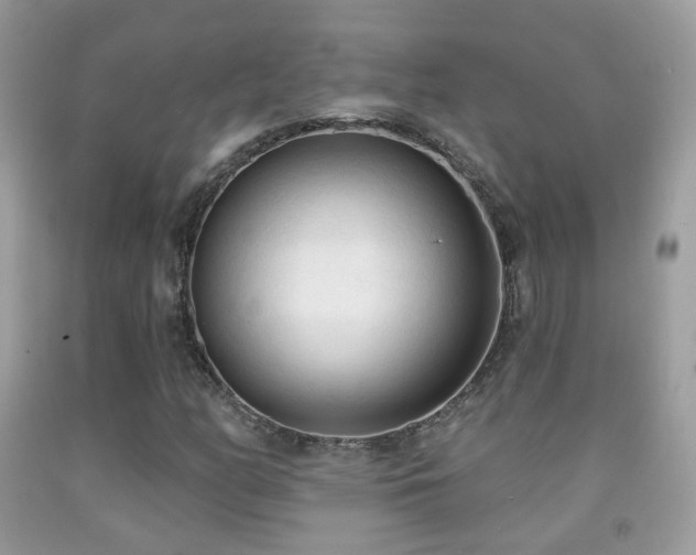 X0000091971158200709061325