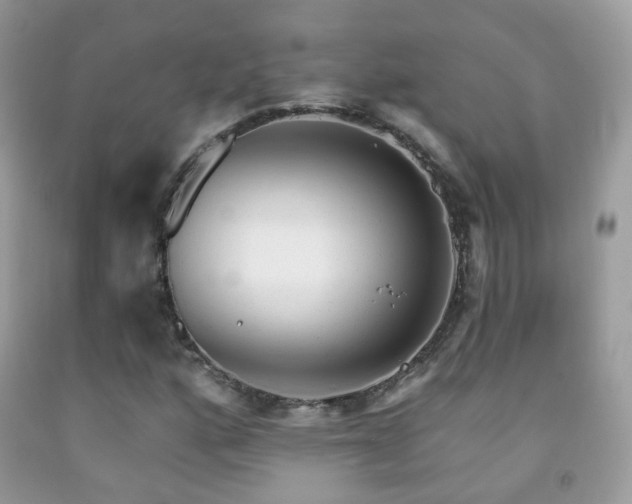 X0000091971160200709061325