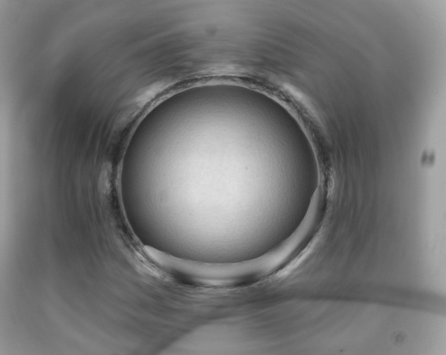 X0000091971161200709061325