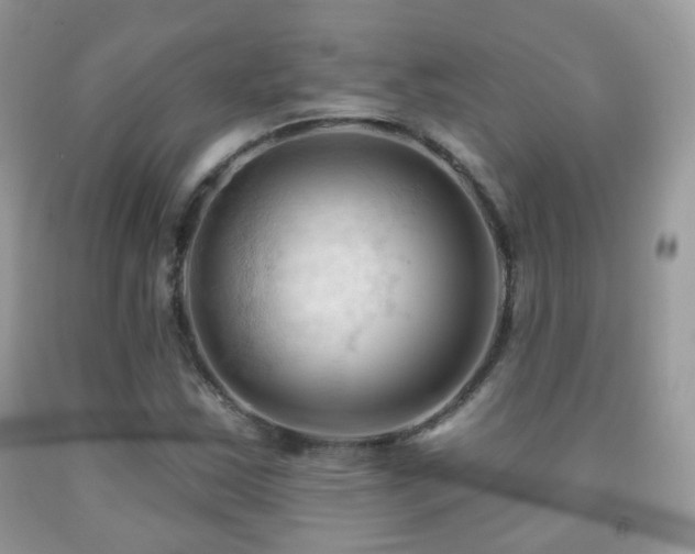 X0000091971163200709061325