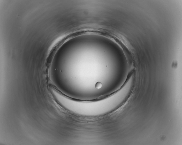 X0000091971164200709061325