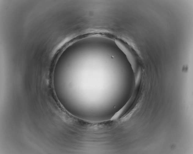 X0000091971165200709061325
