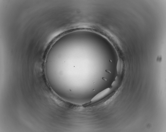 X0000091971166200709061325