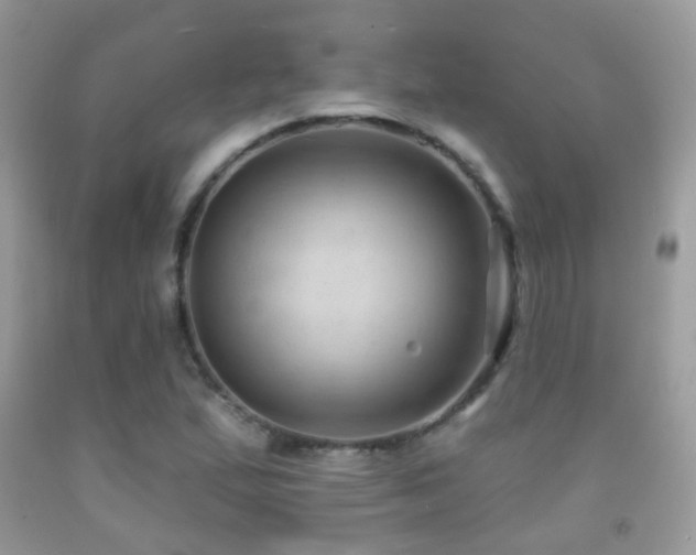 X0000091971167200709061325
