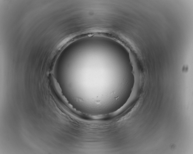 X0000091971169200709061325