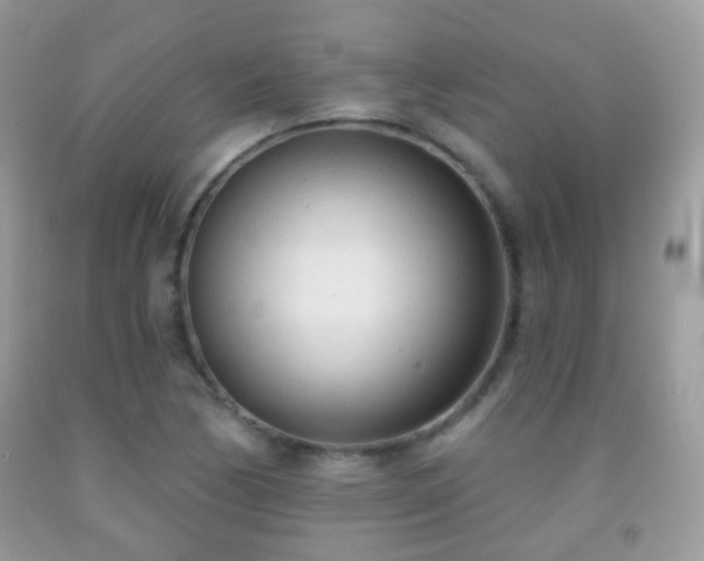 X0000091971170200709061325