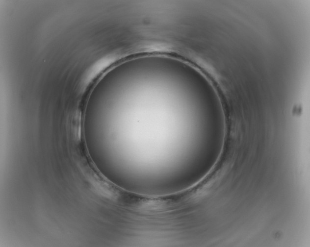 X0000091971171200709061325