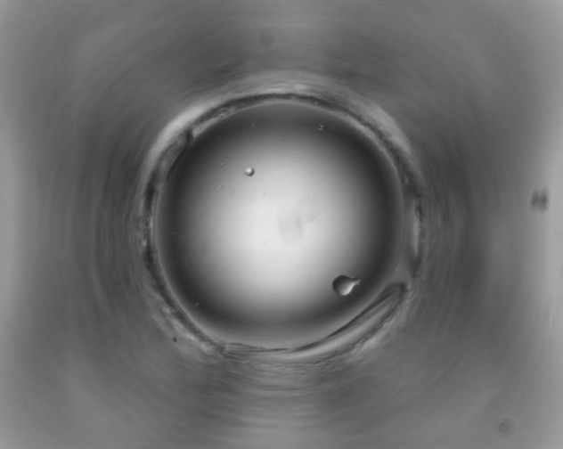 X0000091971172200709061325