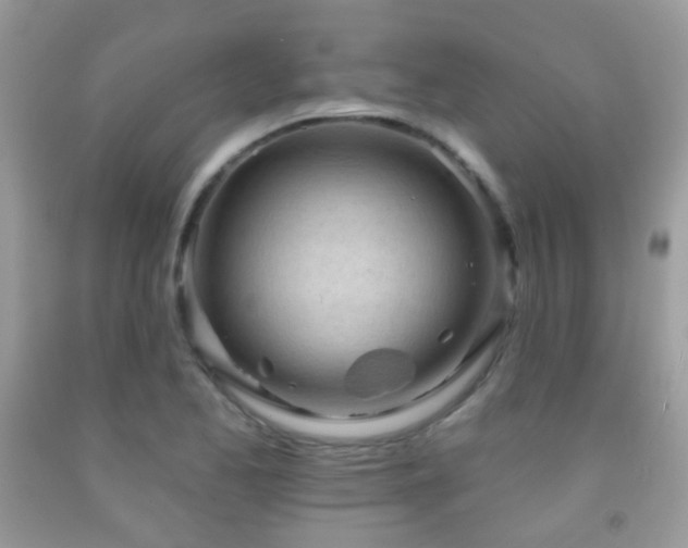 X0000091971173200709061325