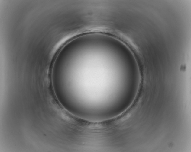 X0000091971174200709061325