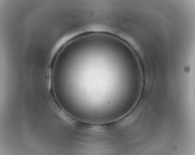 X0000091971175200709061325