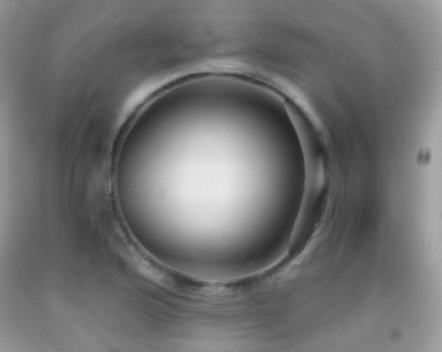 X0000091971176200709061325