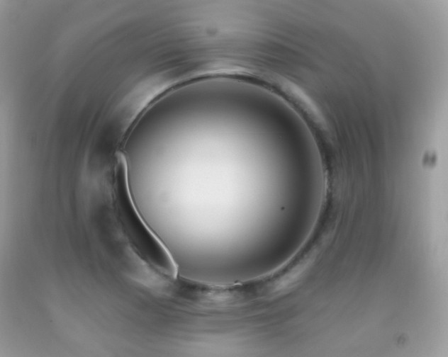 X0000091971177200709061325
