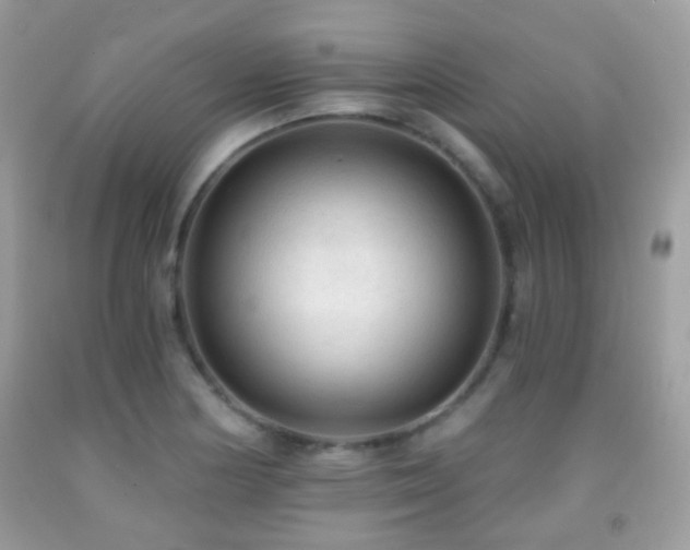 X0000091971178200709061325