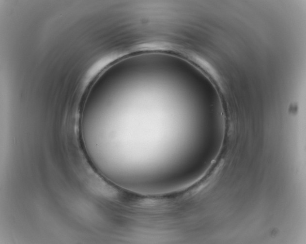 X0000091971179200709061325