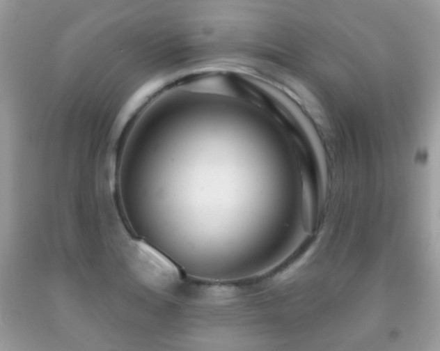 X0000091971180200709061325