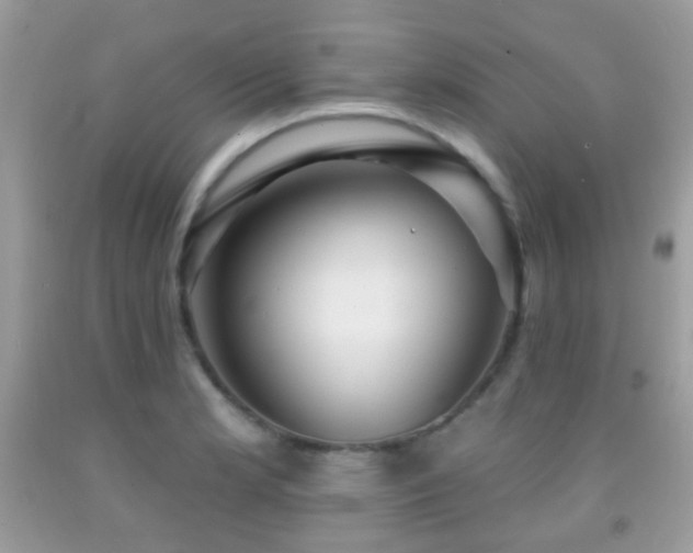 X0000091971181200709061325