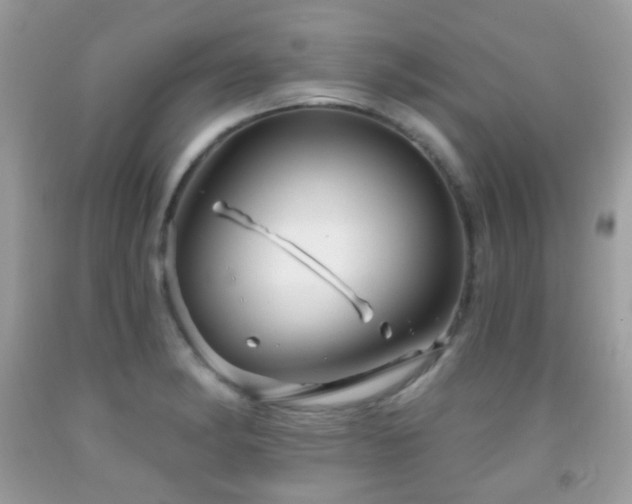 X0000091971182200709061325