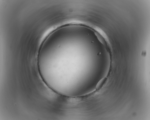 X0000091971183200709061325