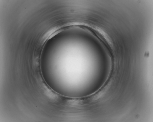 X0000091971185200709061325