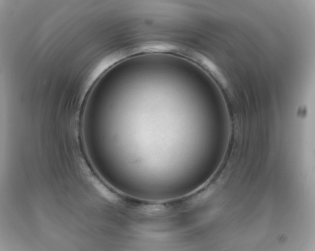 X0000091971186200709061325