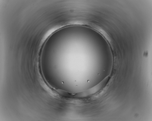 X0000091971187200709061325