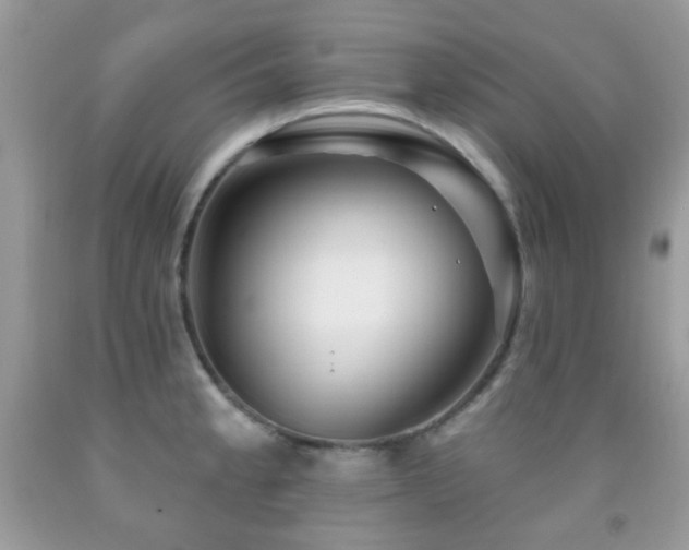 X0000091971189200709061325