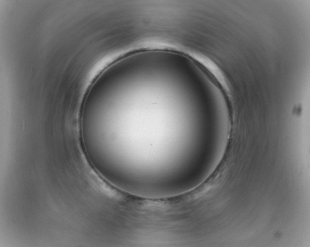 X0000091971191200709061325