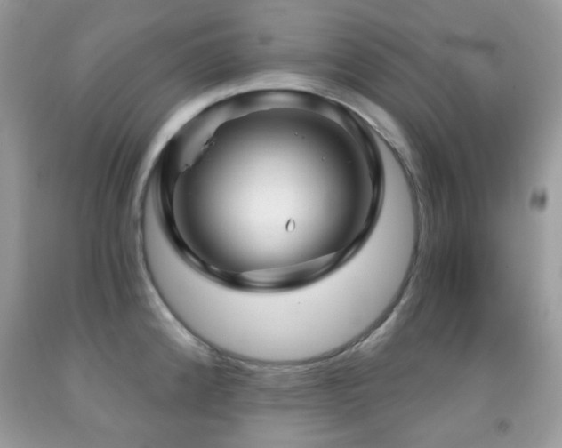 X0000091971192200709061325