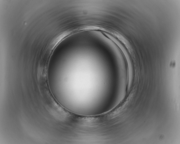 X0000091971193200709061325