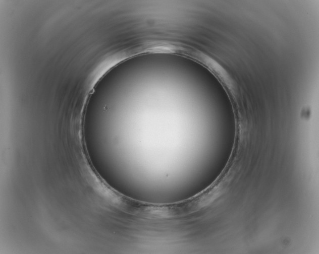 X0000091971194200709061325