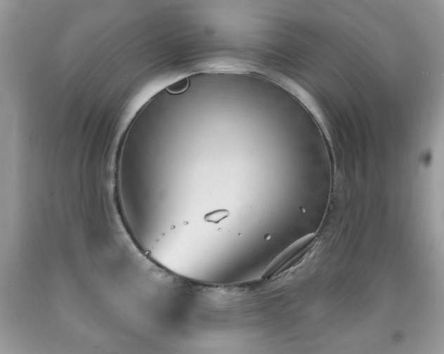 X0000091971195200709061325