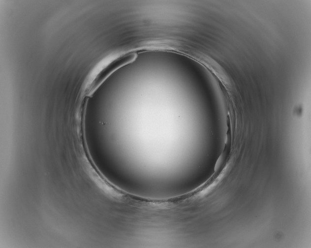 X0000091971196200709061325