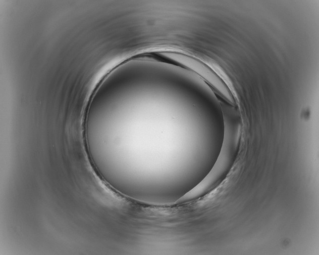X0000091971197200709061325
