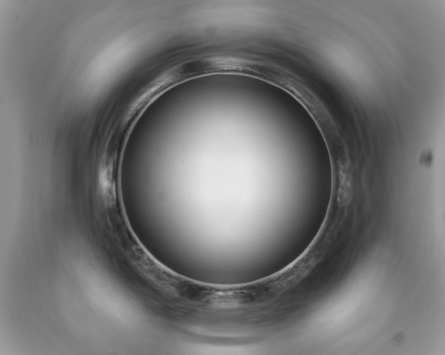 X0000091971198200709061325