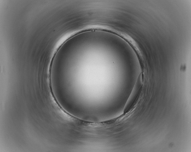 X0000091971199200709061325
