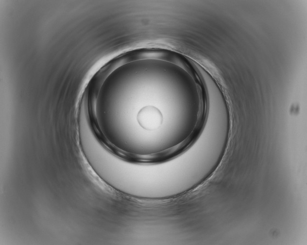 X0000091971200200709061325
