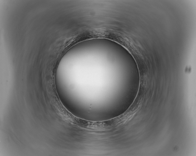 X0000091971201200709061324