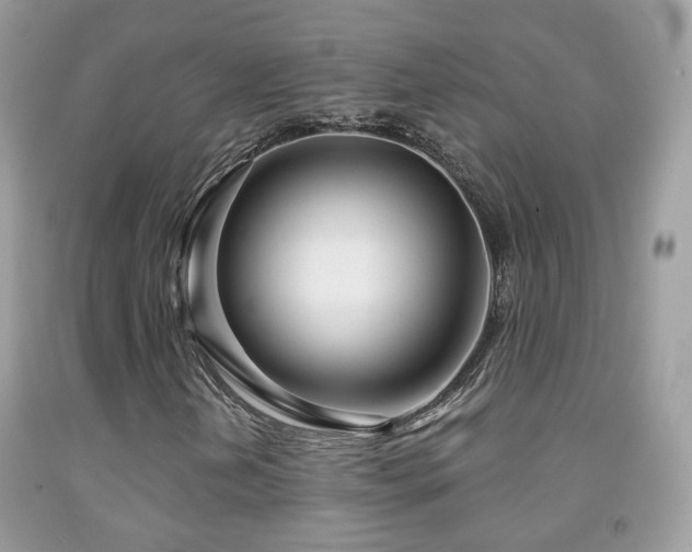 X0000091971202200709061324
