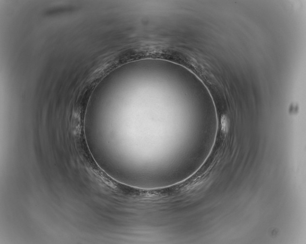 X0000091971203200709061324