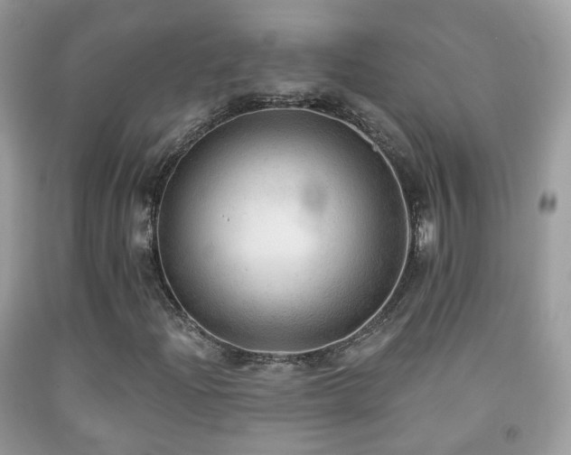 X0000091971204200709061324