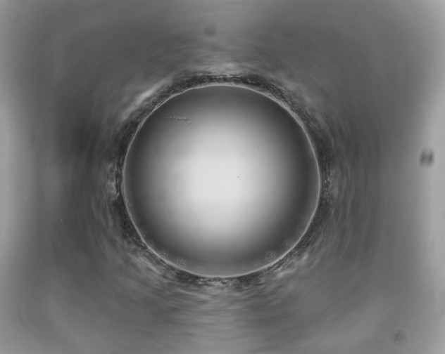 X0000091971205200709061324