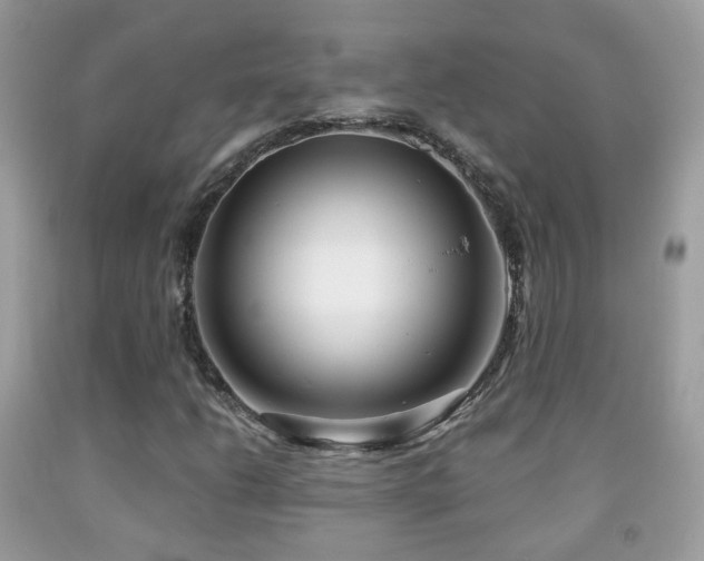 X0000091971206200709061324