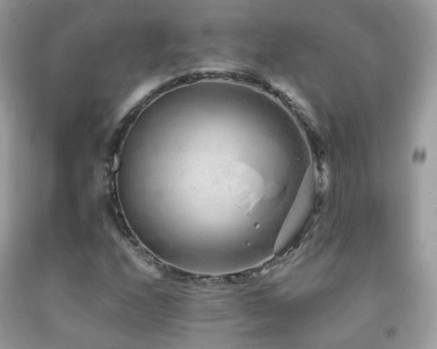X0000091971208200709061324